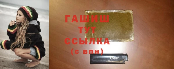 мдпв Богородск