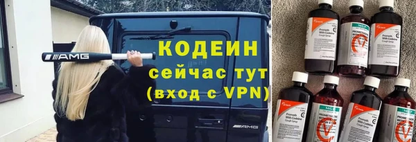 мдпв Богородск