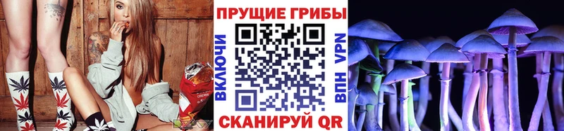 Галлюциногенные грибы мицелий Очёр